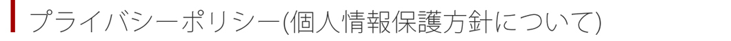 プライバシーポリシー　タイトル